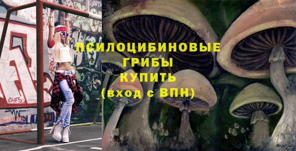 синтетический гашиш Алексин