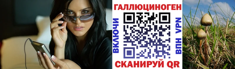 закладка  Кашин  Галлюциногенные грибы мухоморы 